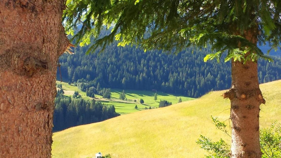 Ciasa Alpina Relax Hotel Moena Esterno foto